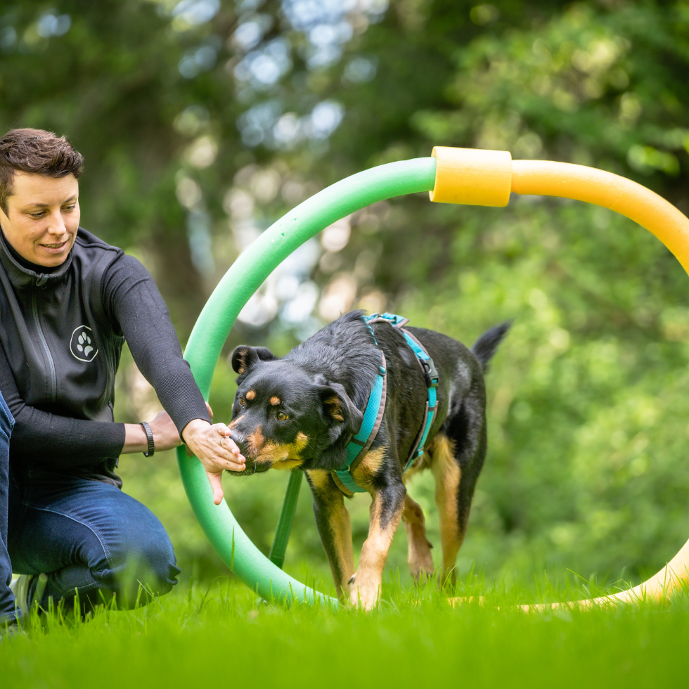 Tanja Gratzer Persönlichkeitstraining