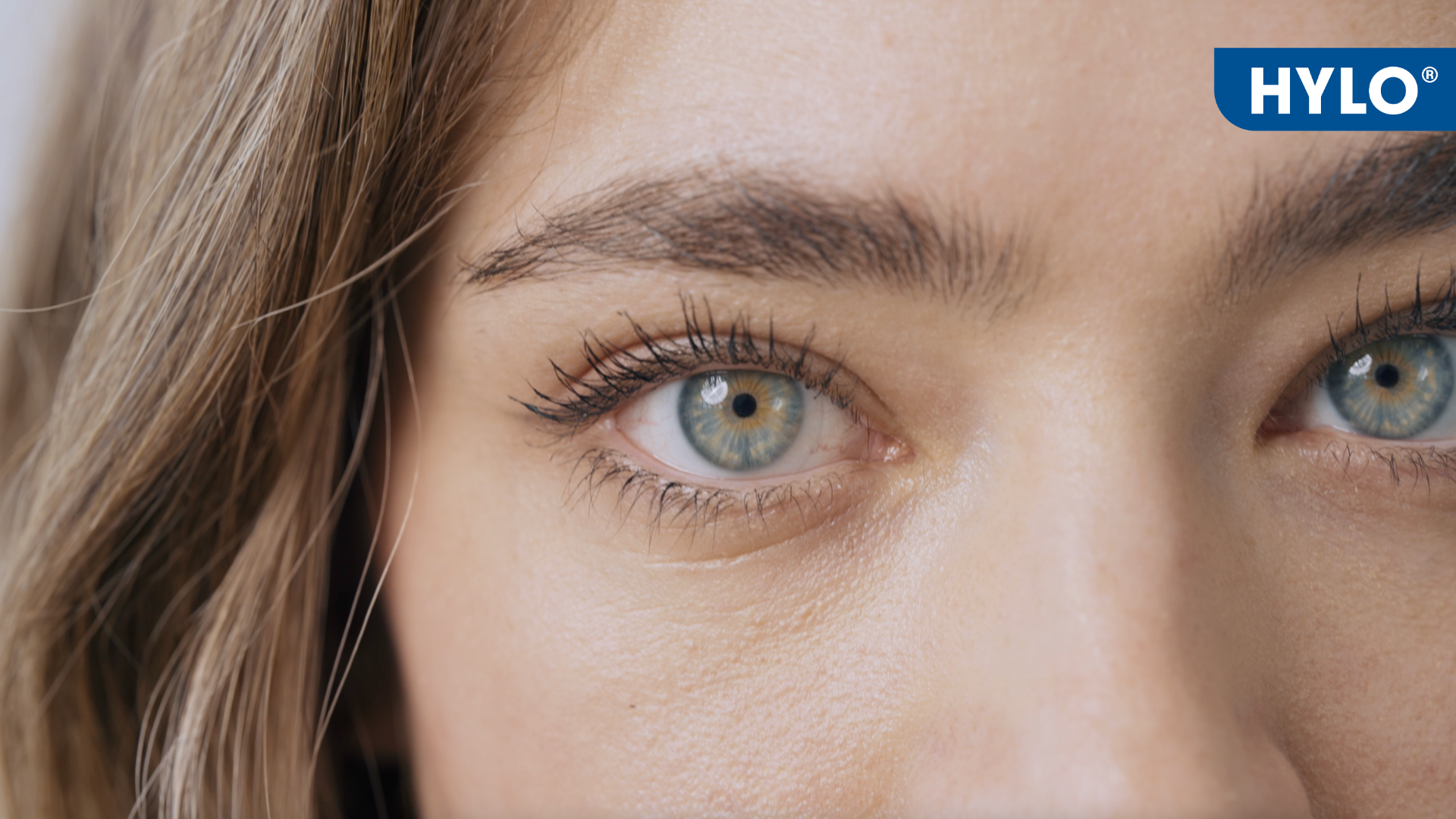 Hylo Augentropfen