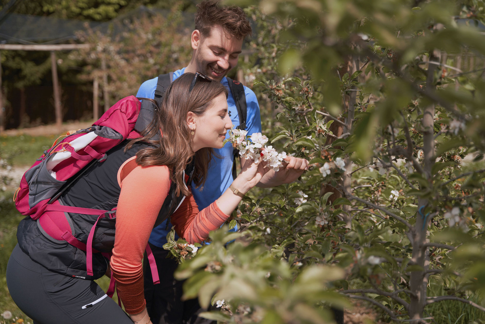 Ein Pärchen beim Wandern in Apfelgärten mit schönen Apfelblüten in Puch bei Weiz im Apfelland