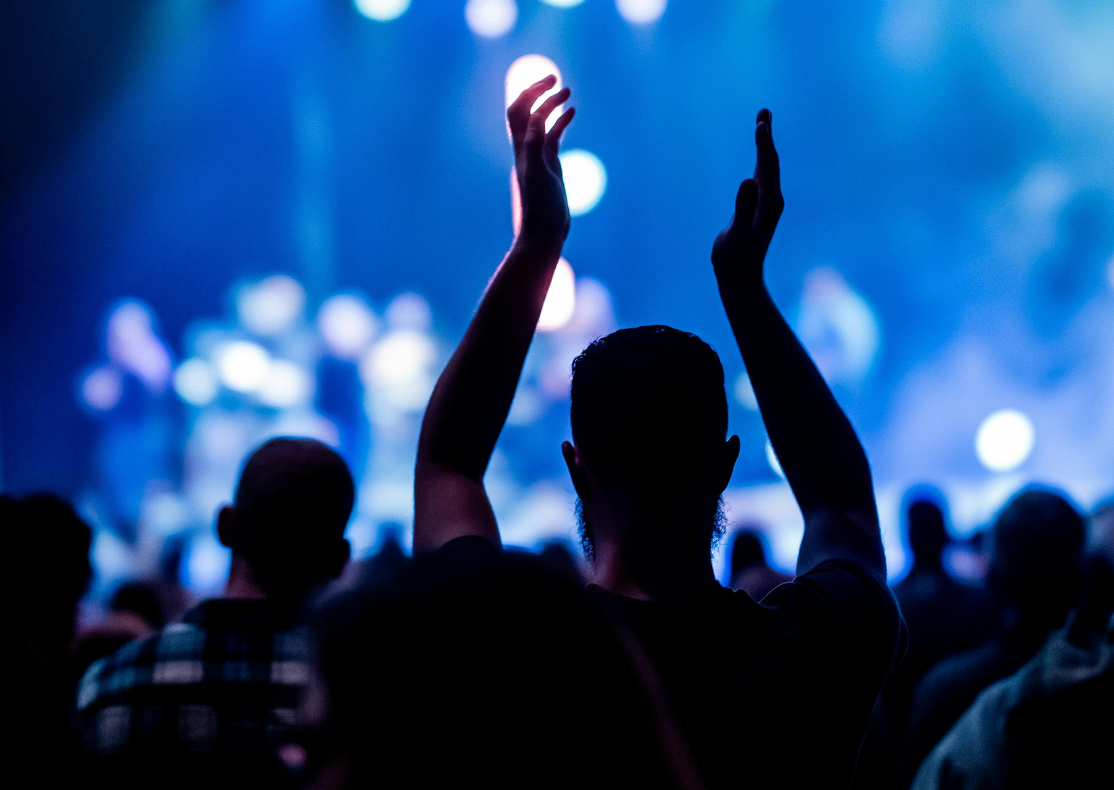 Leute die bei einem Konzert feiern