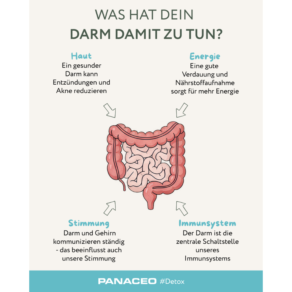 Grafik zur Darmgesundheit