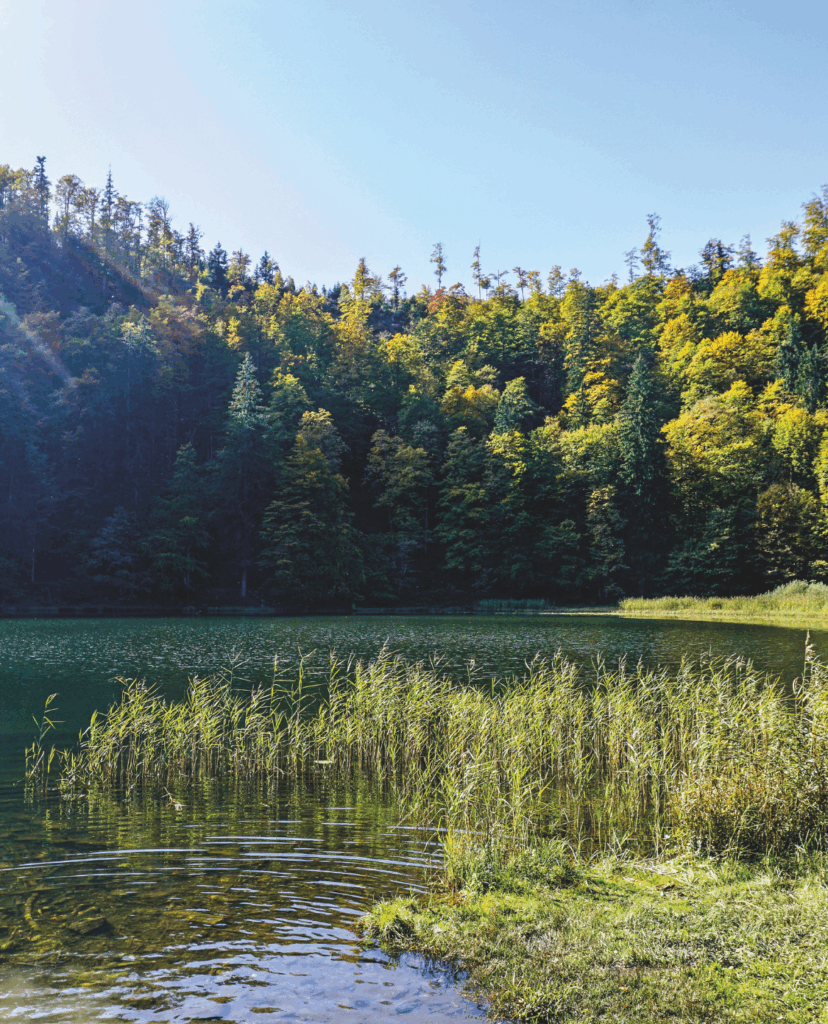 Filblingsee